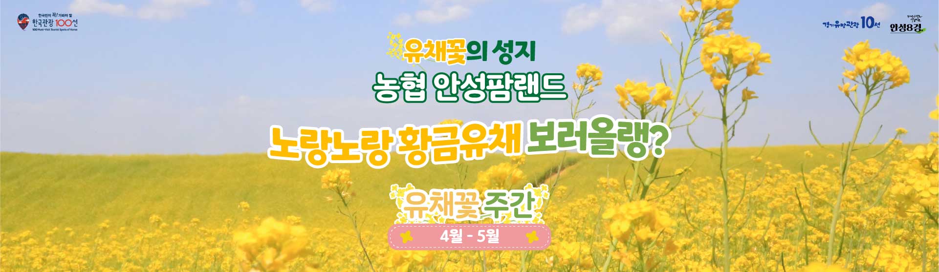 유채꽃의 성지
농협 안성팜랜드
노랑노랑 황금유채
보러올랭?
유채꽃주간
4월-5월