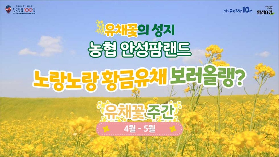 유채꽃의 성지
농협 안성팜랜드
노랑노랑 황금유채
보러올랭?
유채꽃주간
4월-5월